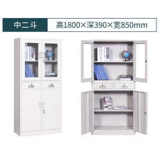 钢之秀 文件柜  二斗器械柜